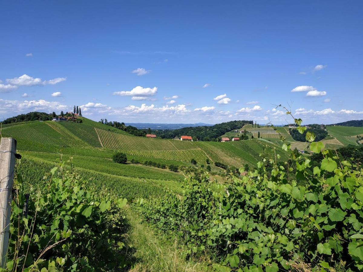 Das Weinberghaus Рач-ан-дер-Вайнштрассе Экстерьер фото