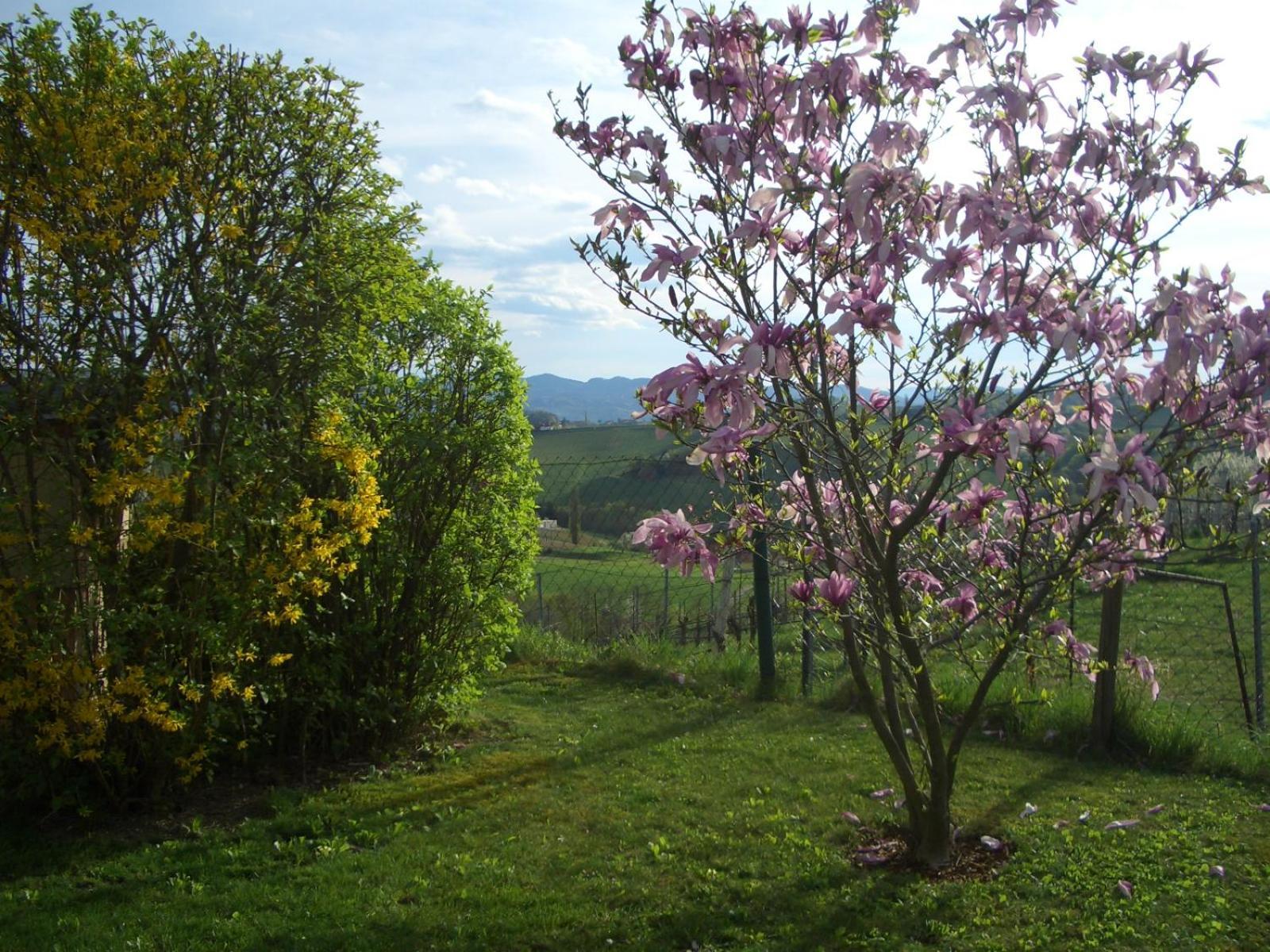 Das Weinberghaus Рач-ан-дер-Вайнштрассе Экстерьер фото