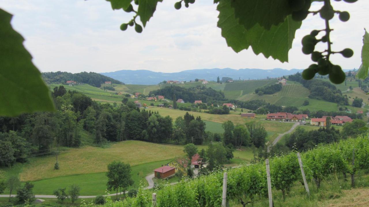 Das Weinberghaus Рач-ан-дер-Вайнштрассе Экстерьер фото